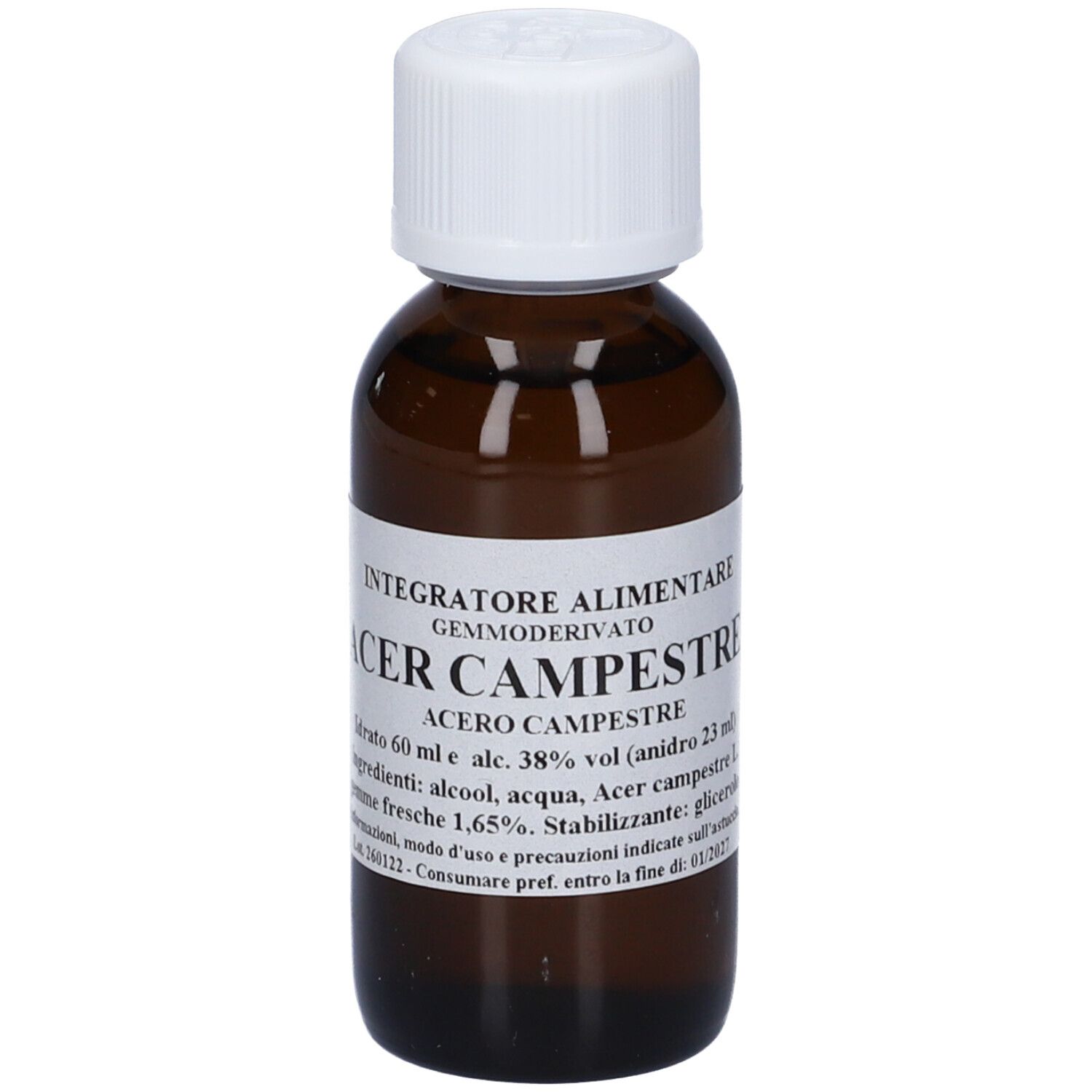 Acer Campestre 60Ml Mg