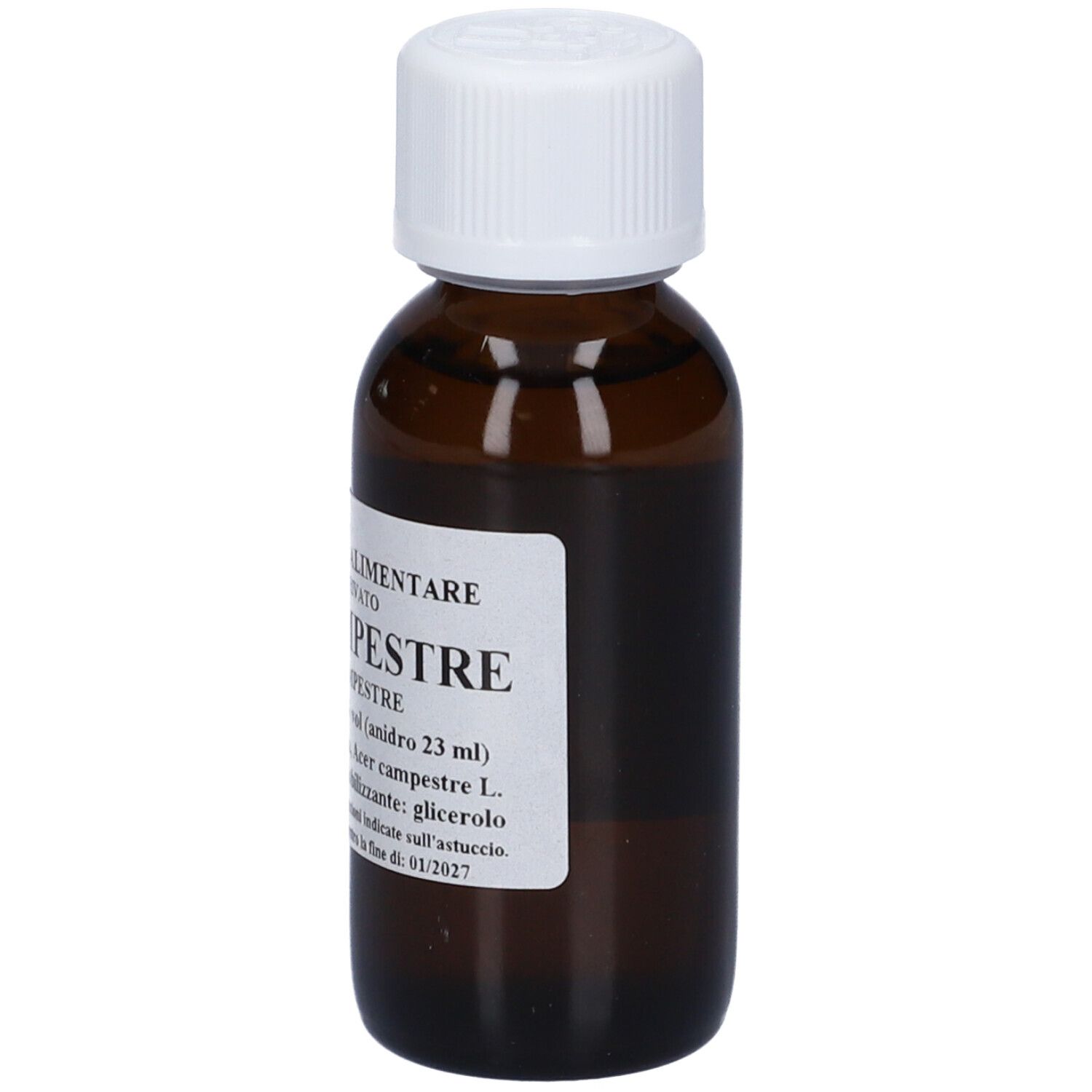 Acer Campestre 60Ml Mg