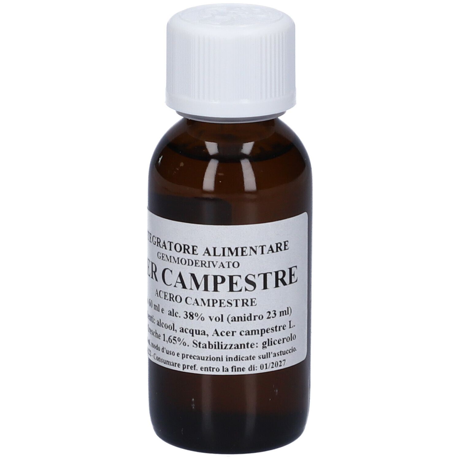 Acer Campestre 60Ml Mg