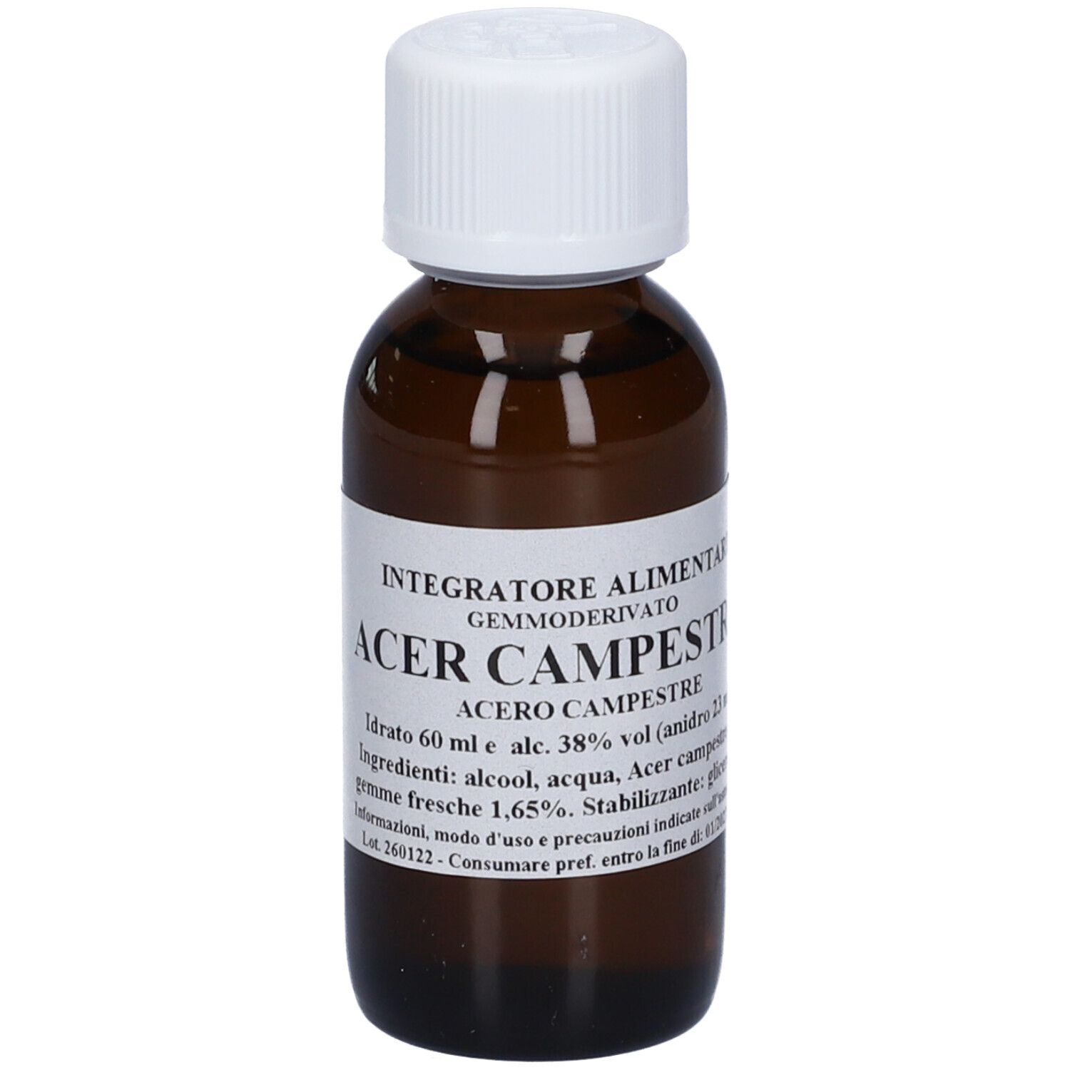 Acer Campestre 60Ml Mg