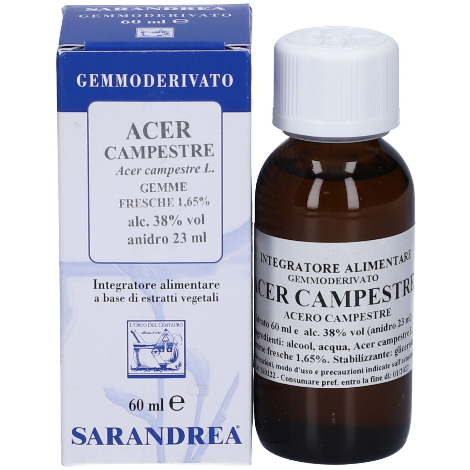 Acer Campestre 60Ml Mg
