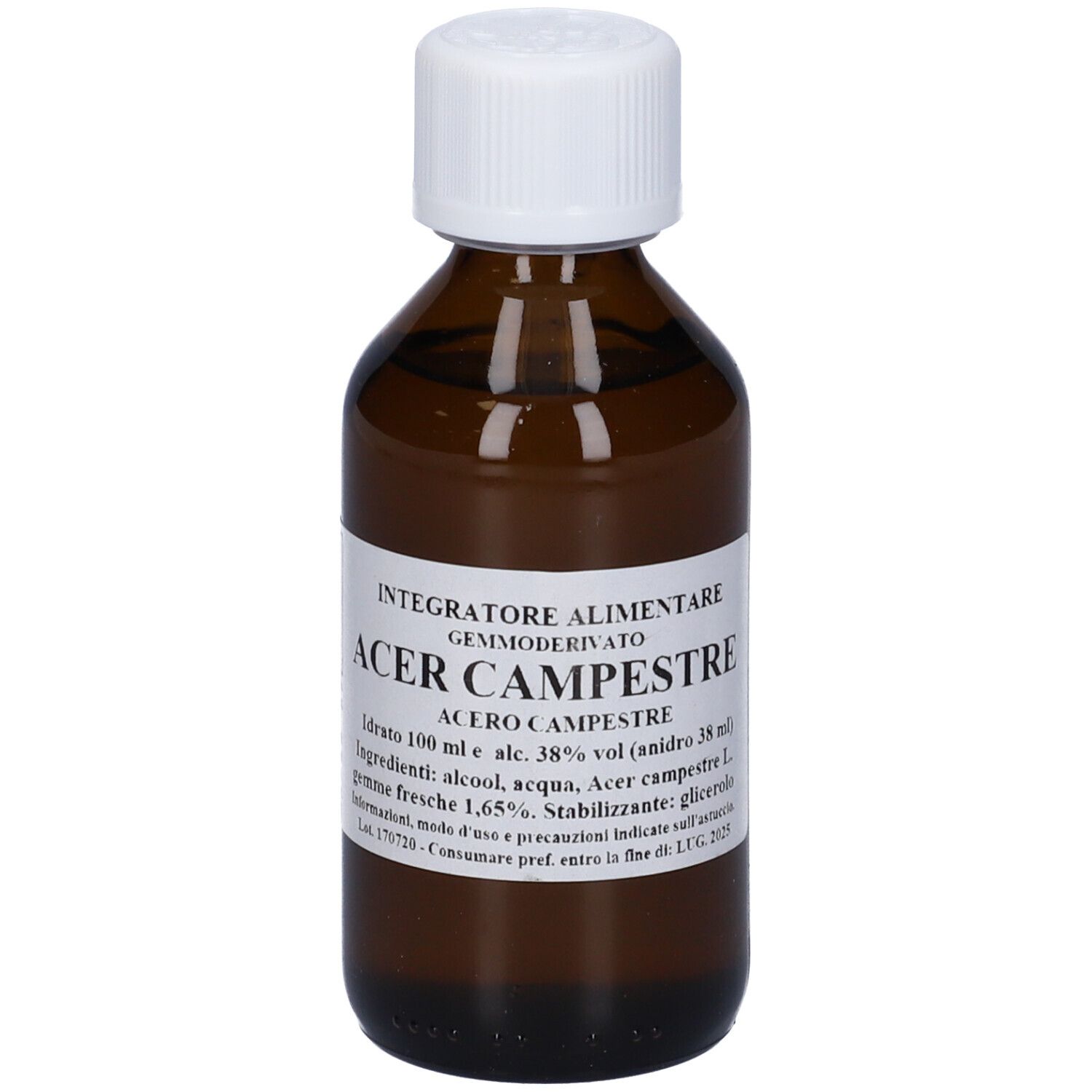 Acer Campestre 100Ml Mg