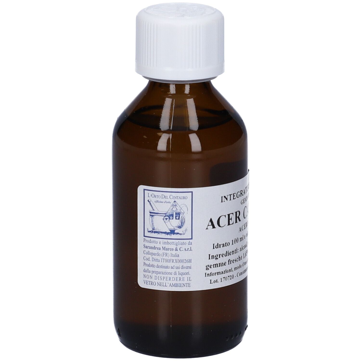 Acer Campestre 100Ml Mg