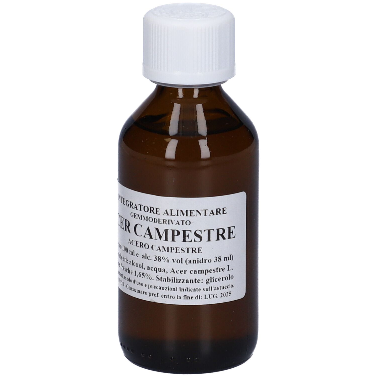 Acer Campestre 100Ml Mg