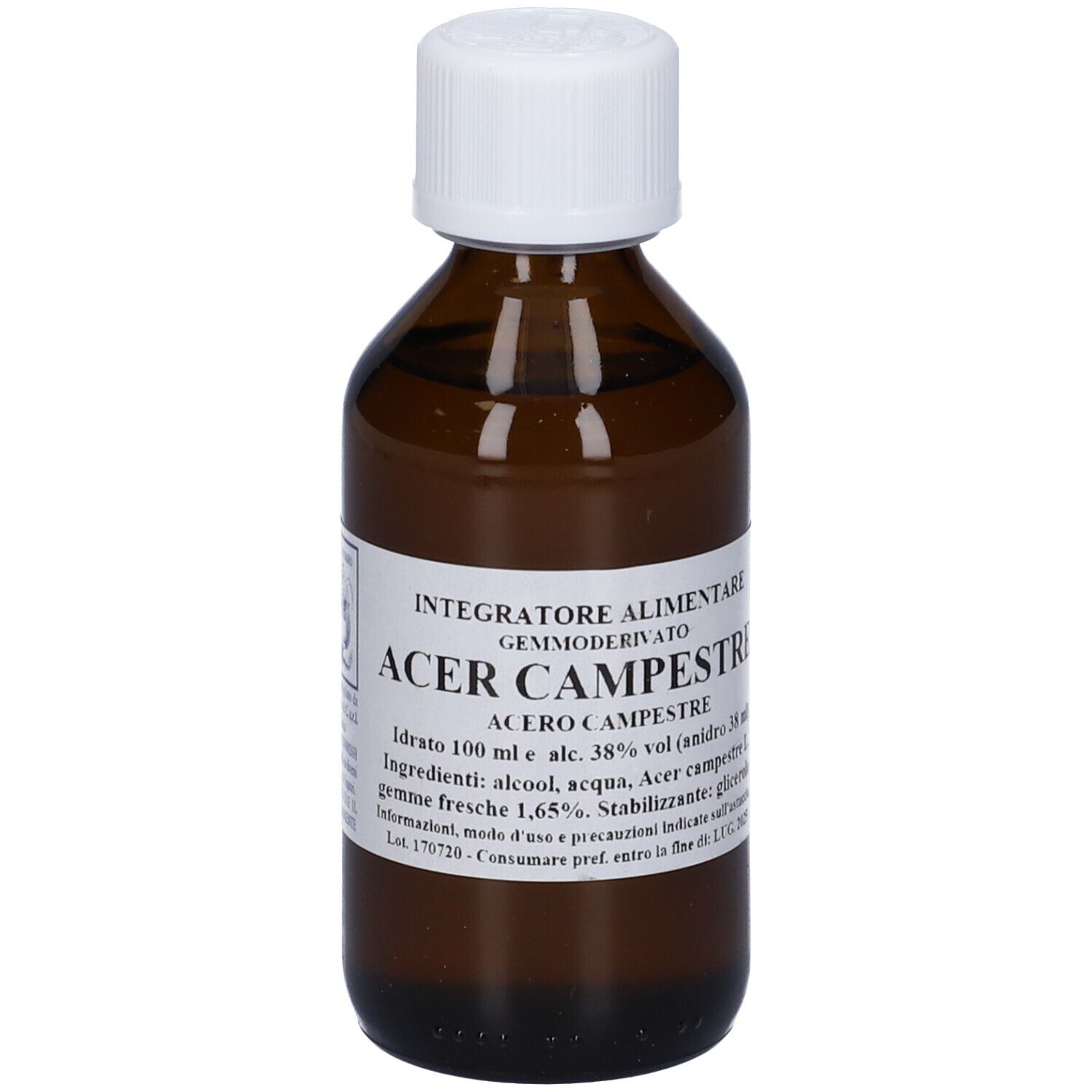 Acer Campestre 100Ml Mg
