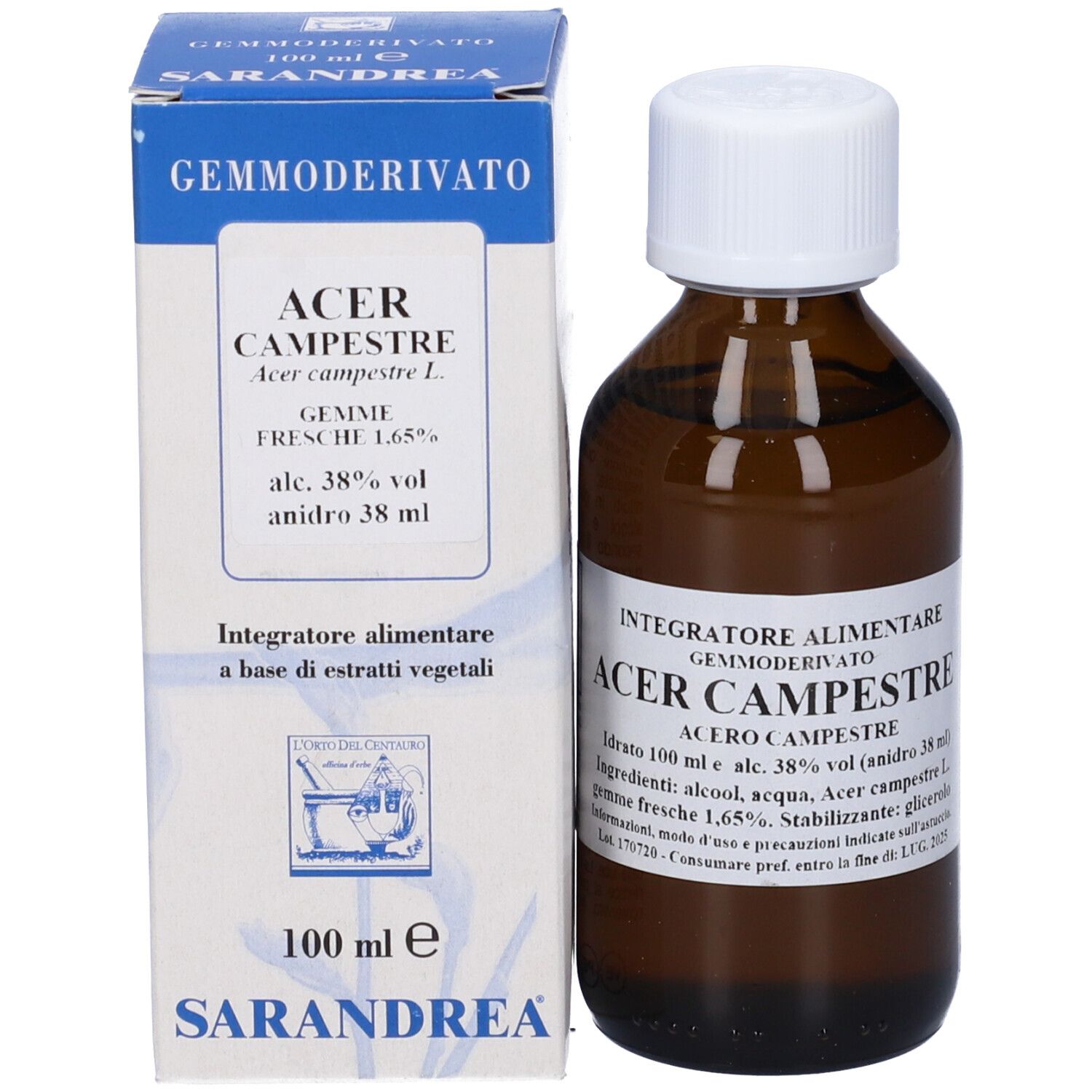 Acer Campestre 100Ml Mg