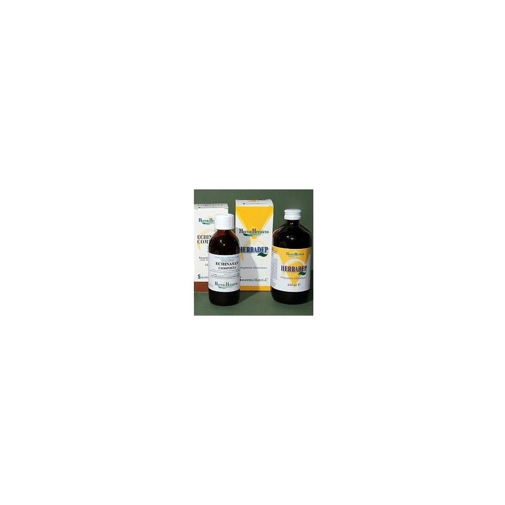 Echinasan Comp 150 Ml