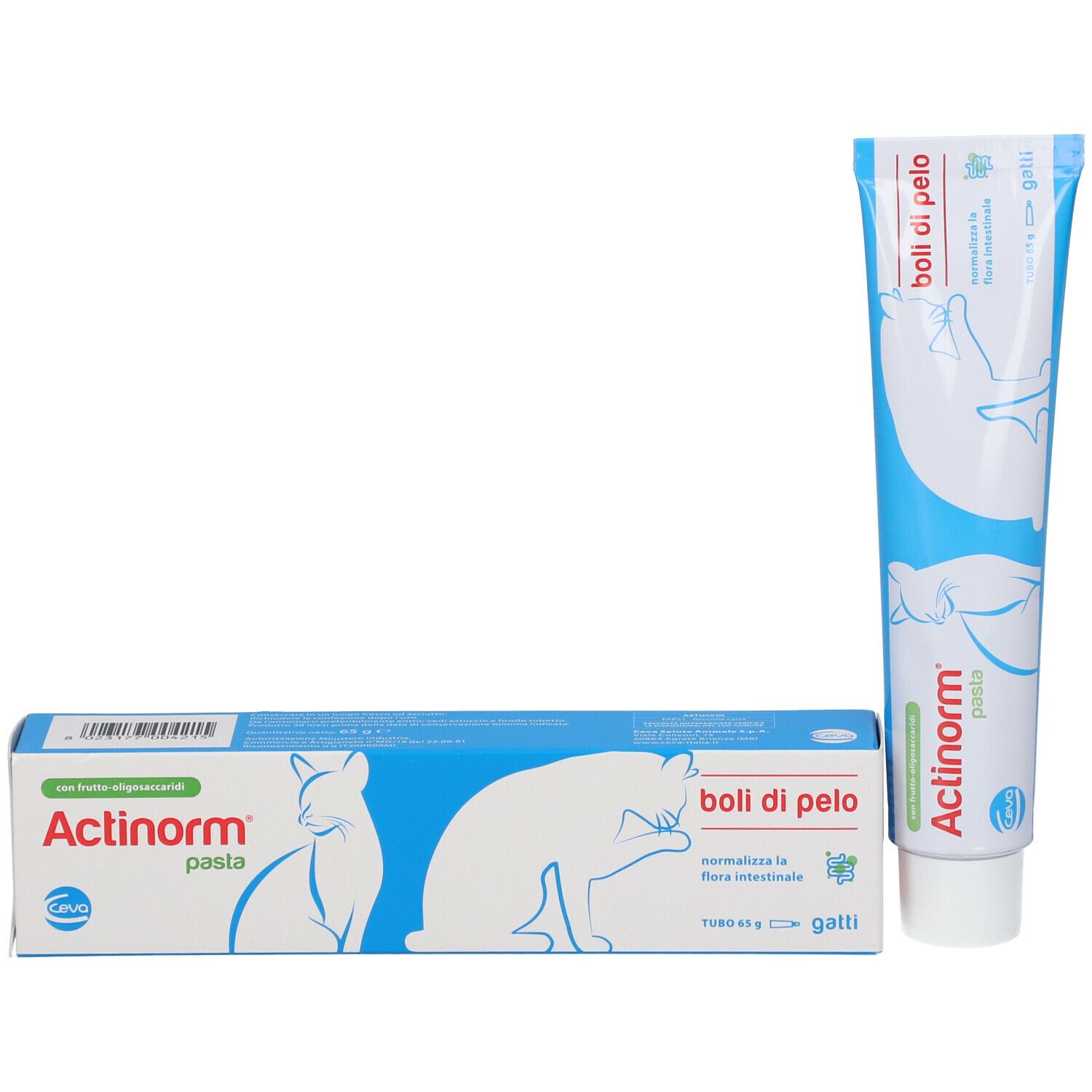 Actinorm Pasta Gatti