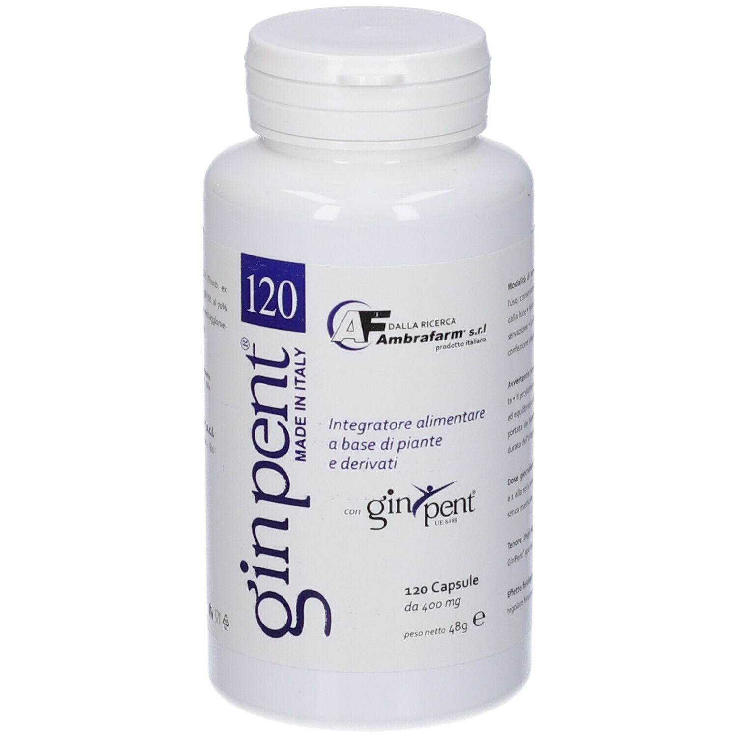 Ginpent 120 in Capsule