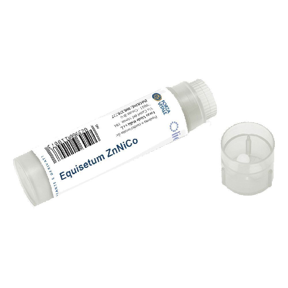 Equisetum Zn/Ni/Co 100Gl