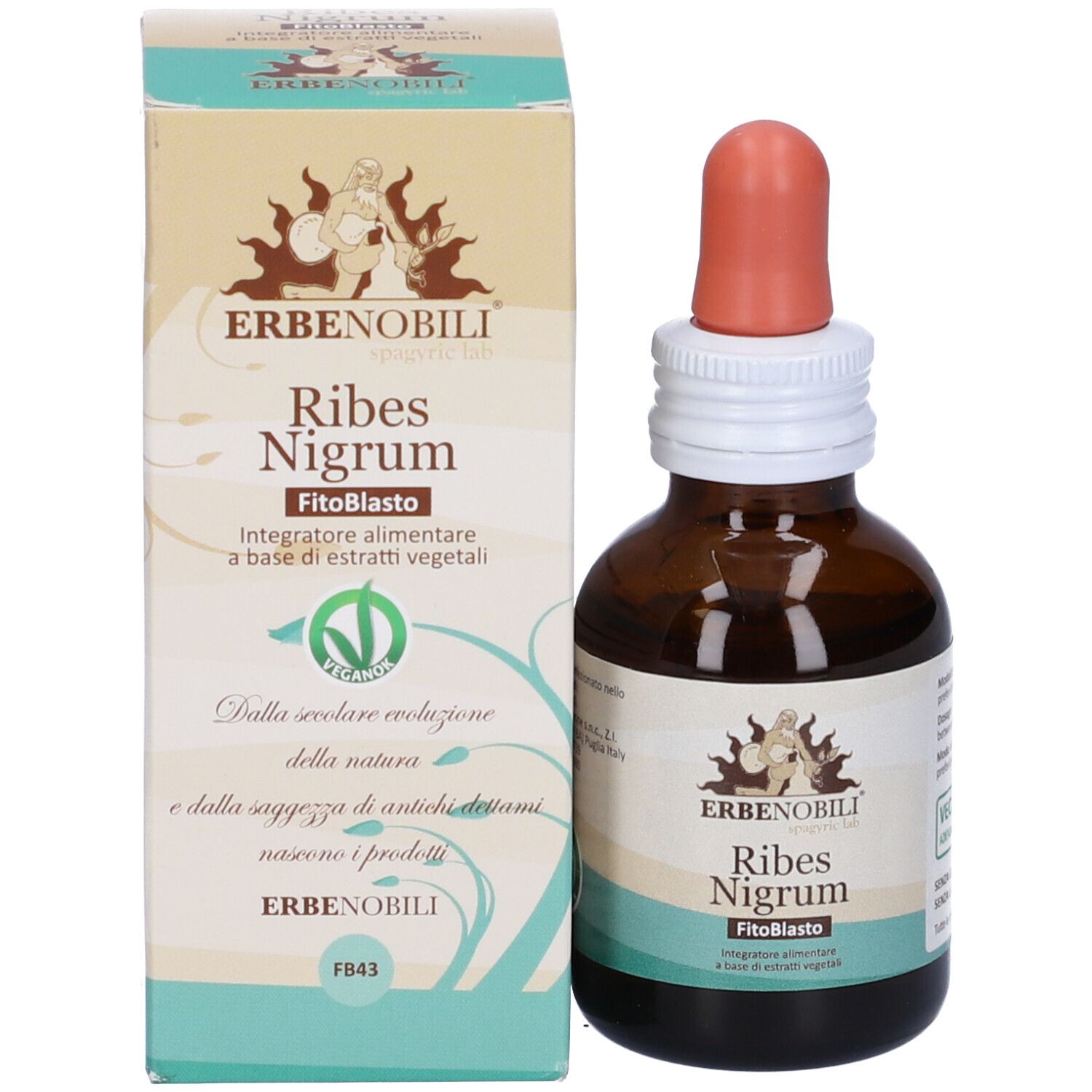 Flacone di vetro marrone con contagocce e scatola. Scritta: Erbenobili Ribes Nigrum FitoBasto. Con sigillo VeganOK.