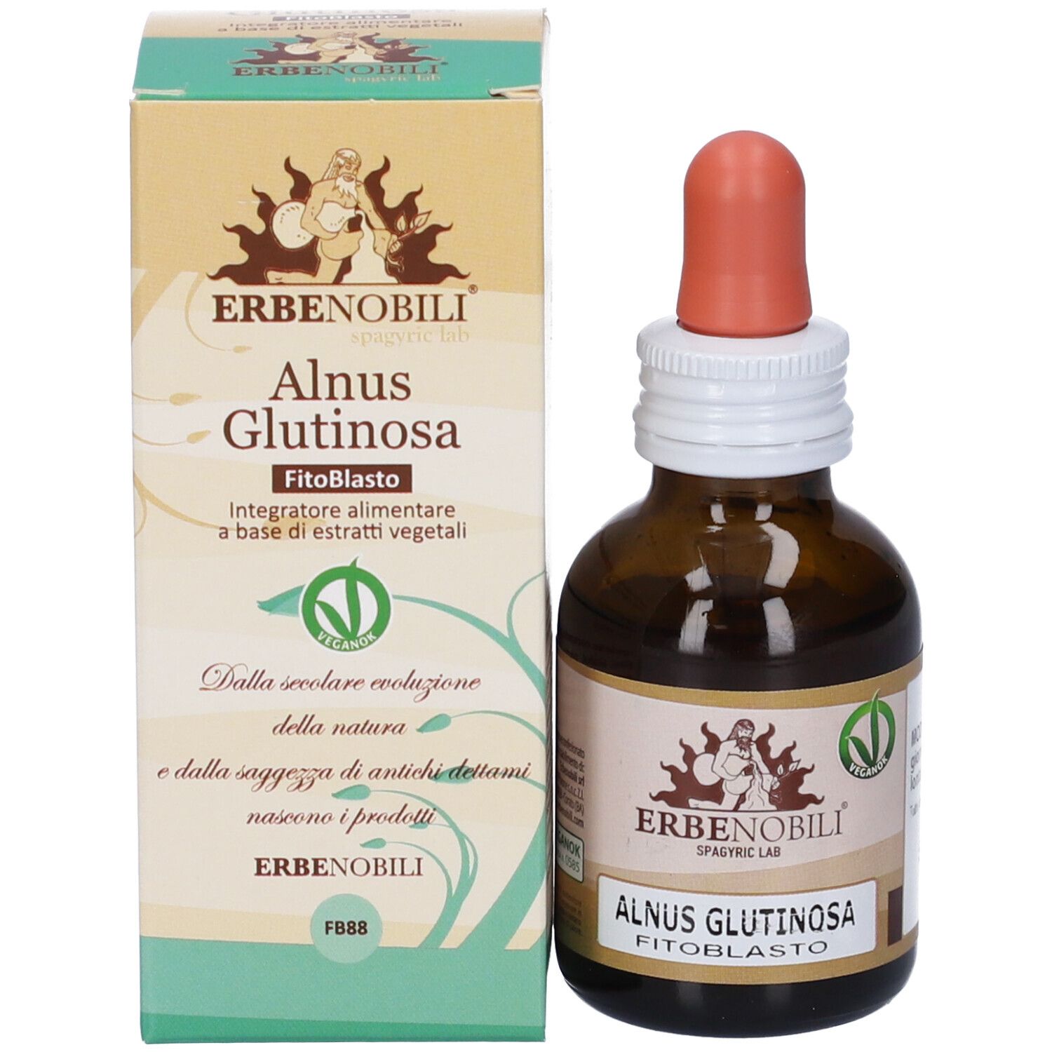 Gocce Alnus Glutinosa FitoBlasto di Erbenobili. Flacone in vetro marrone con contagocce e scatola esterna.