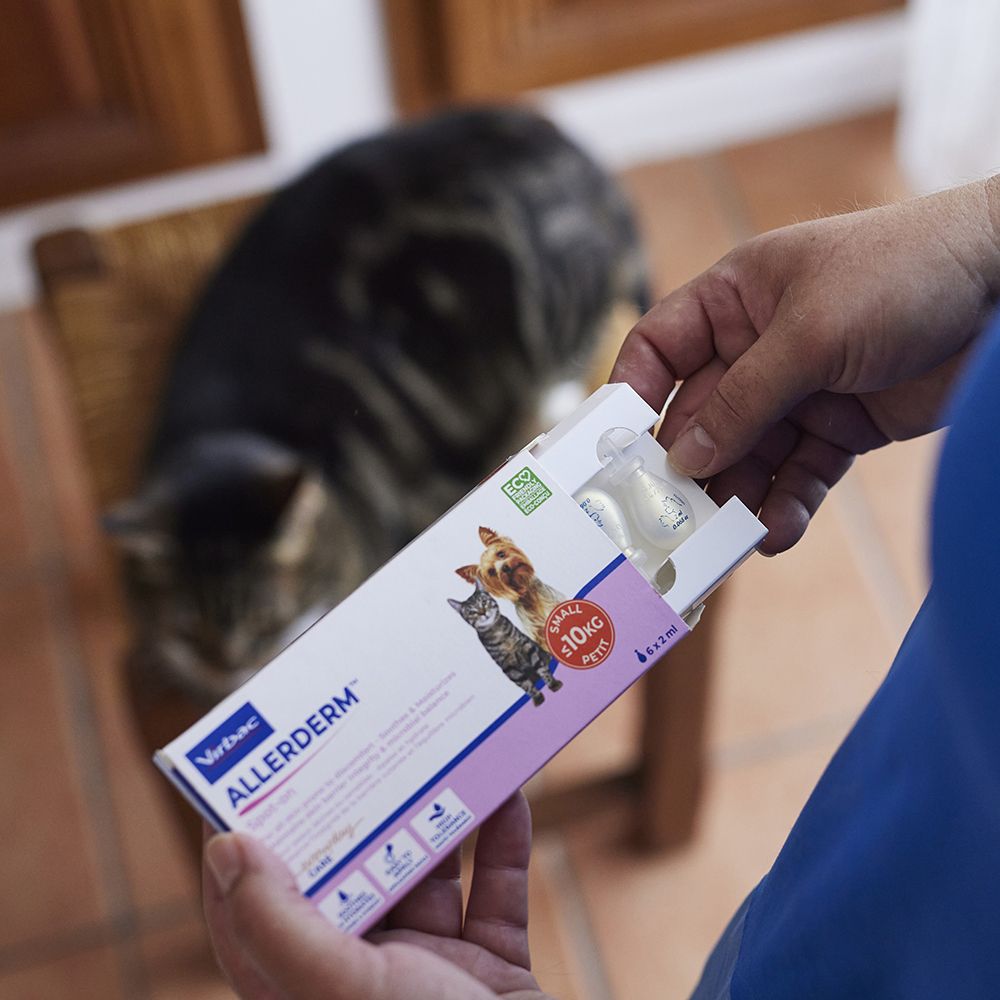 Persona tiene una confezione Allerderm Spot-on. Gatto e cane sullo sfondo. Pipette visibili.
