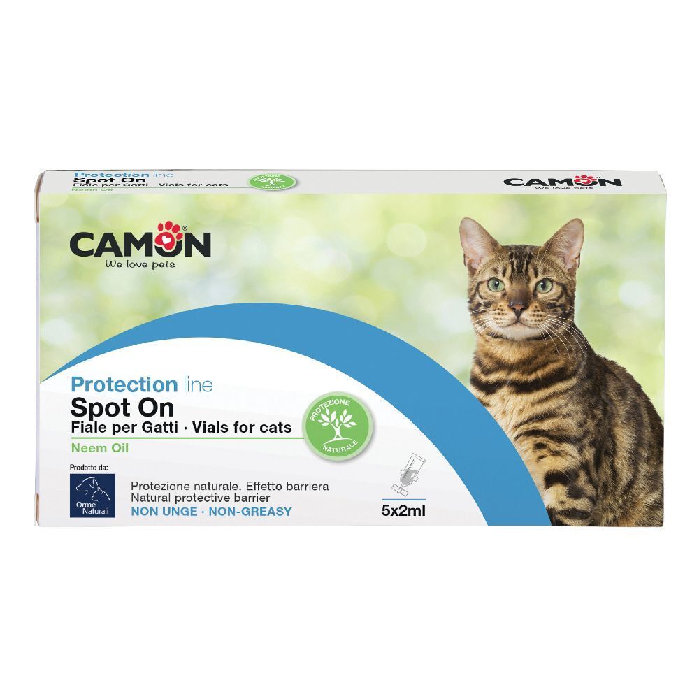 Protection Spoton Gatto 5 X 2 Ml