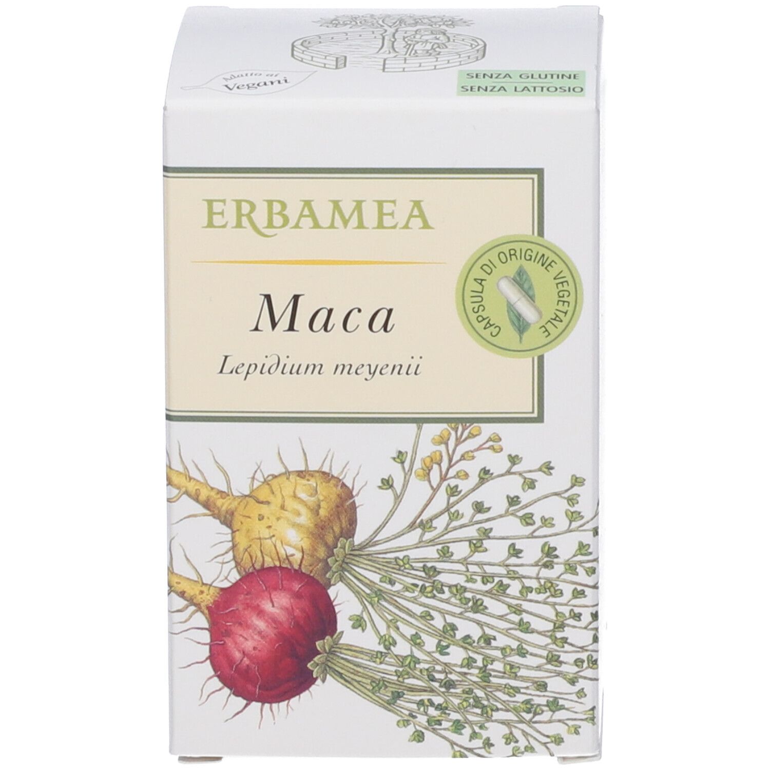 Scatola bianca con Erbamea Maca. Illustrazione di piante di maca. Senza glutine, senza lattosio.