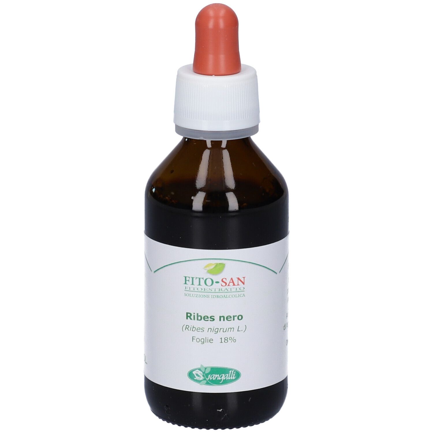 TM Ribes (Ribes nigrum)