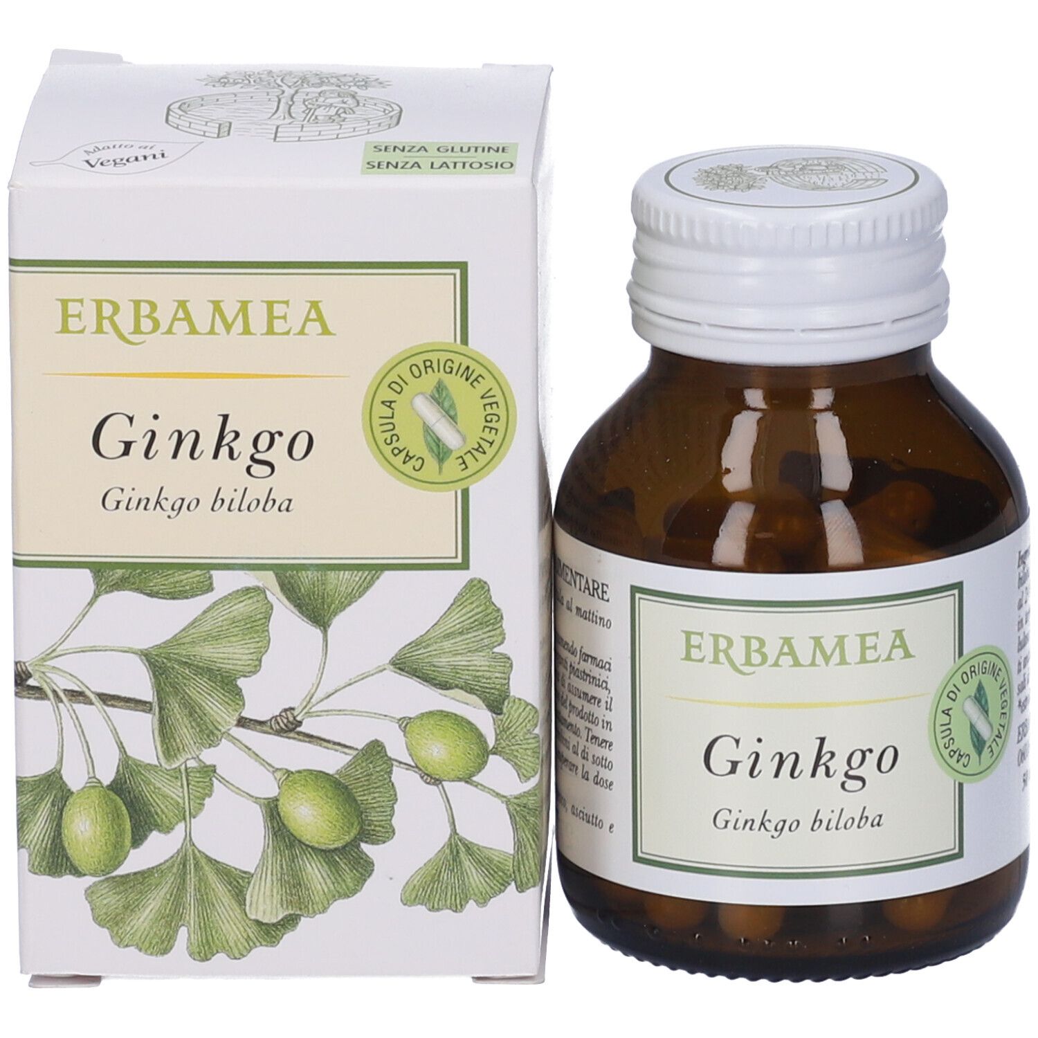 Erbamea Ginkgo Opercoli