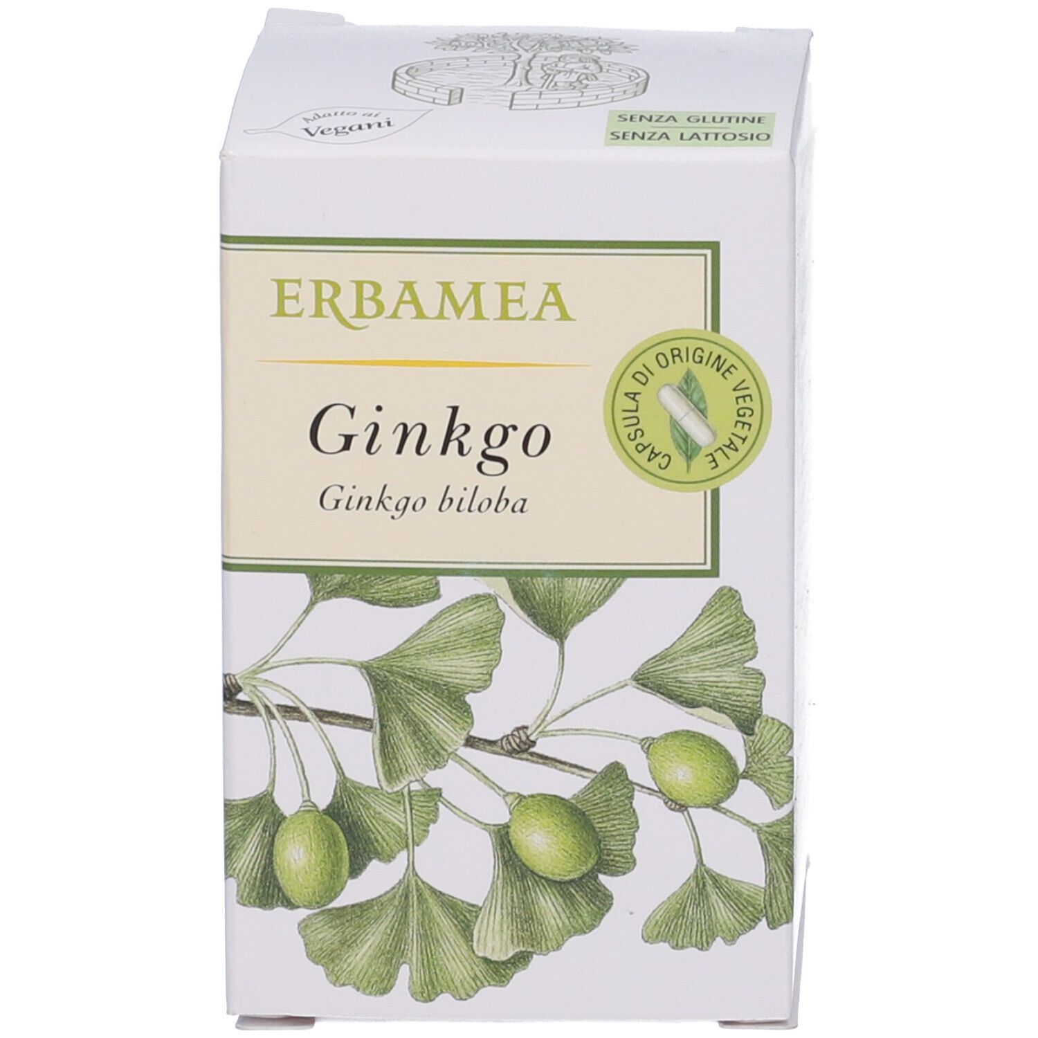 Erbamea Ginkgo Opercoli
