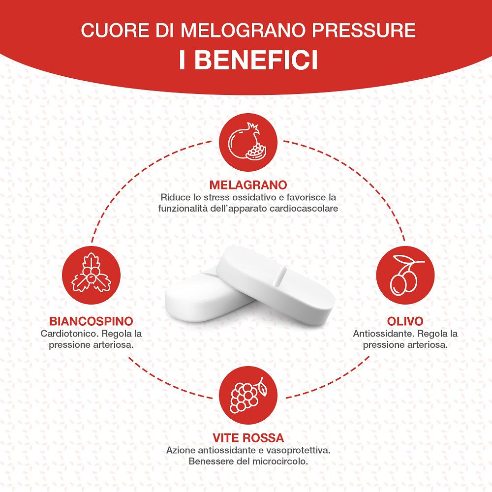 Rappresentazione grafica dei benefici di melograno, biancospino, olivo e vite rossa per il sistema cardiovascolare.