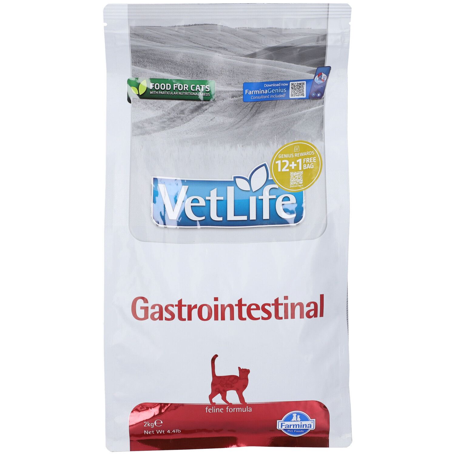 Sacchetto bianco con "VetLife Gastrointestinal" e immagine di gatto. Contiene cibo secco per gatti. 2kg.