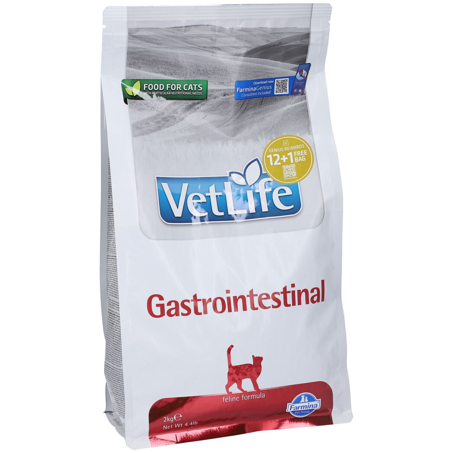 Sacchetto bianco con "VetLife Gastrointestinal" e immagine di gatto. Contiene cibo secco per gatti. 2kg.