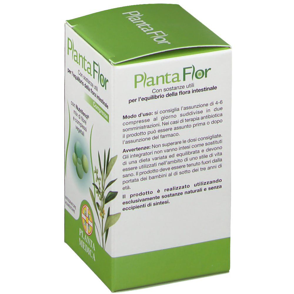 Planta Flor