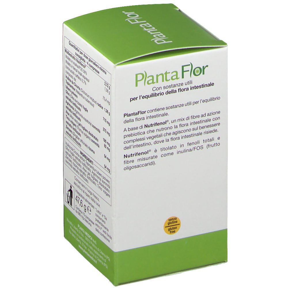 Planta Flor