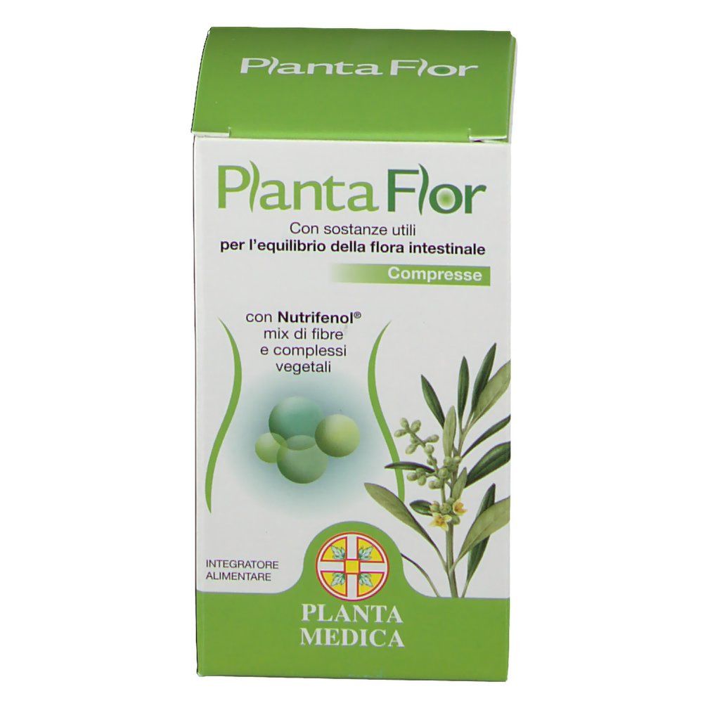 Planta Flor