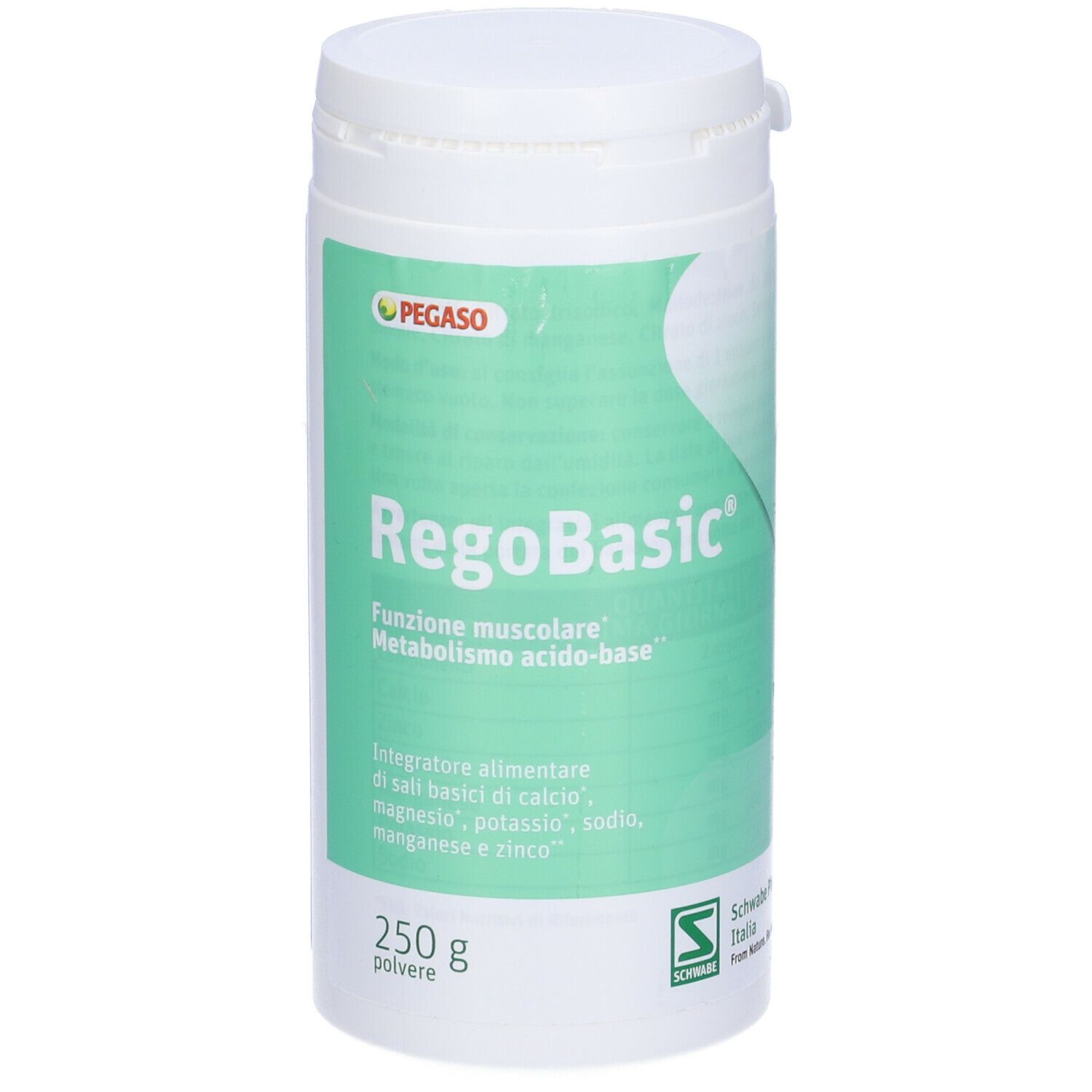 Pegaso® RegoBasic