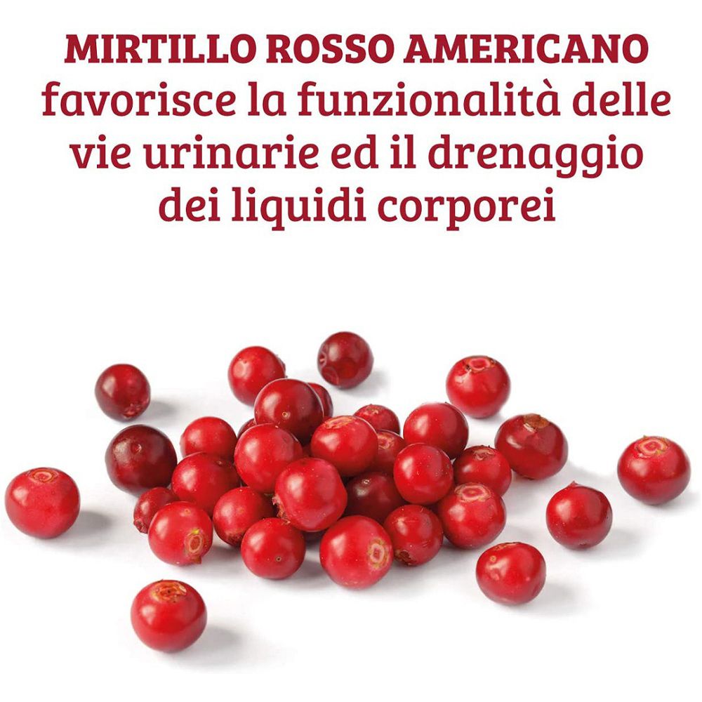 Mirtilli rossi americani con foglie verdi, che favoriscono la funzionalità delle vie urinarie.