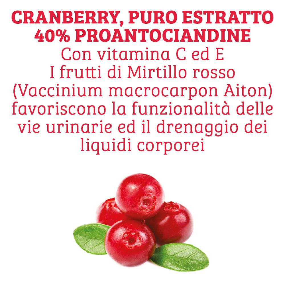 Estratto di mirtillo rosso americano al 40% in proantocianidine, con vitamine C ed E.