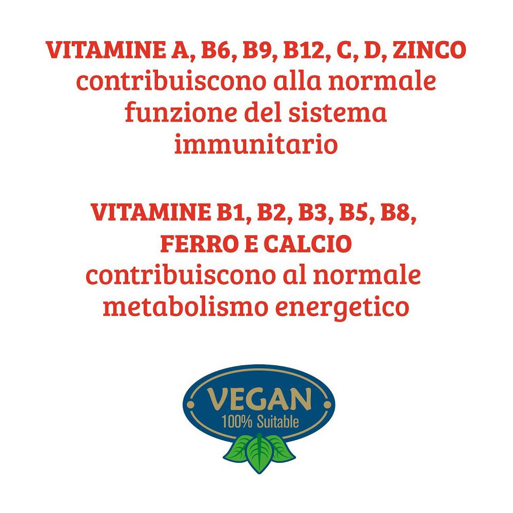 Elenco di vitamine e minerali che supportano la funzione immunitaria e il metabolismo energetico.