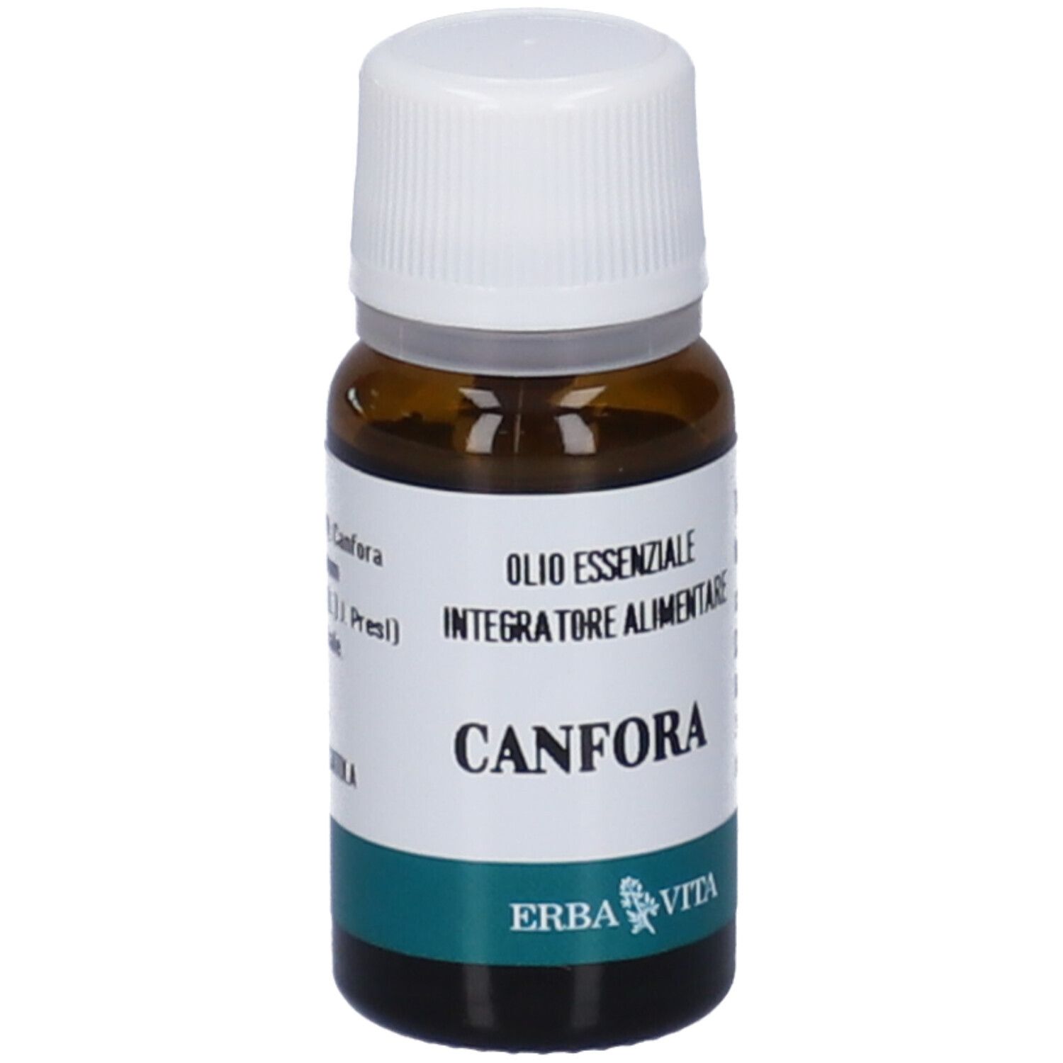 Erva Vita Canfora Olio Essenziale