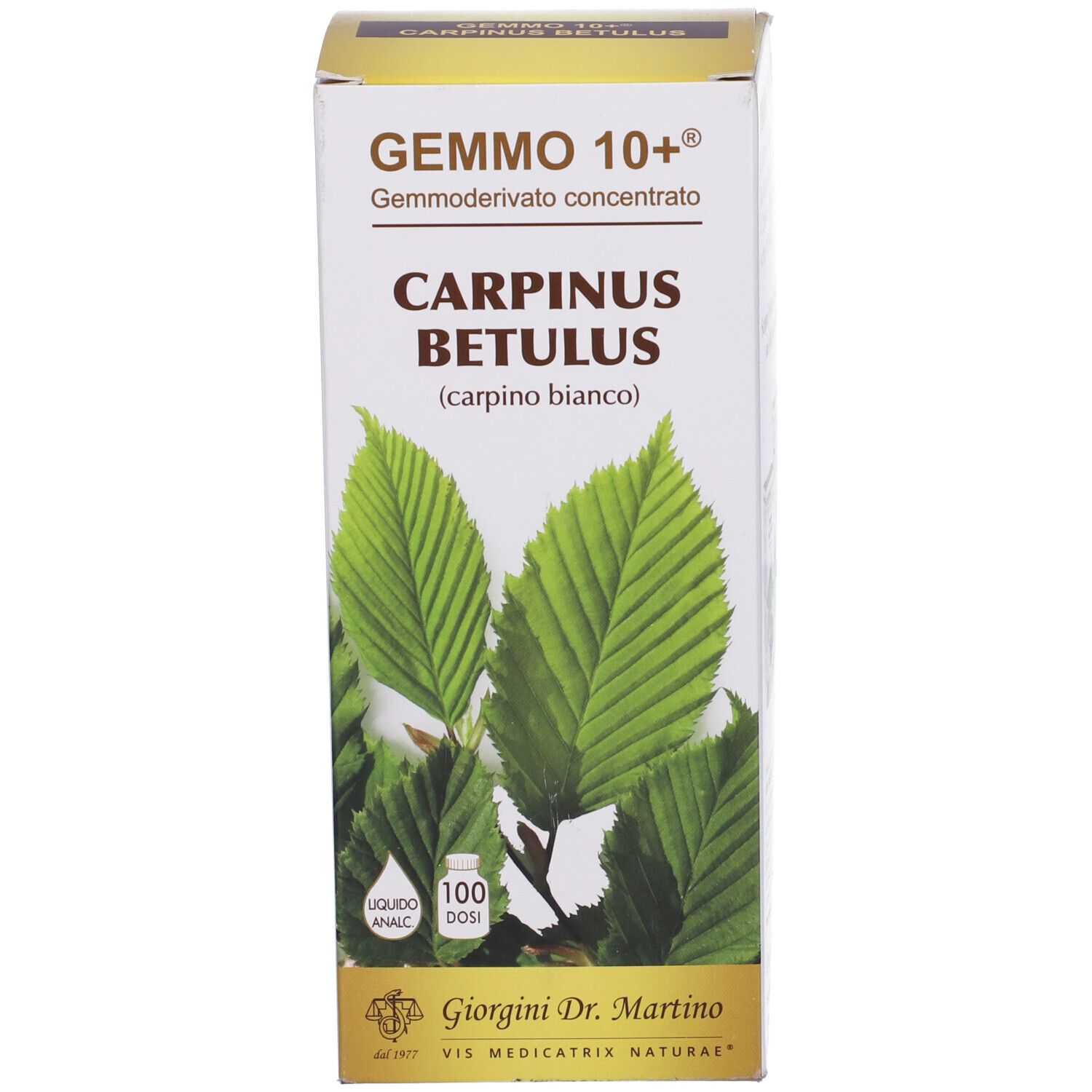 Gemmo 10+ Carpino Bianco 500 Ml Liquido Analcolico