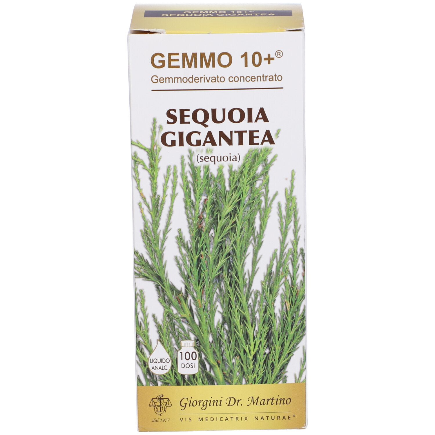 Confezione del prodotto. Sulla scatola, "GEMMO 10+" e "SEQUOIA GIGANTEA".