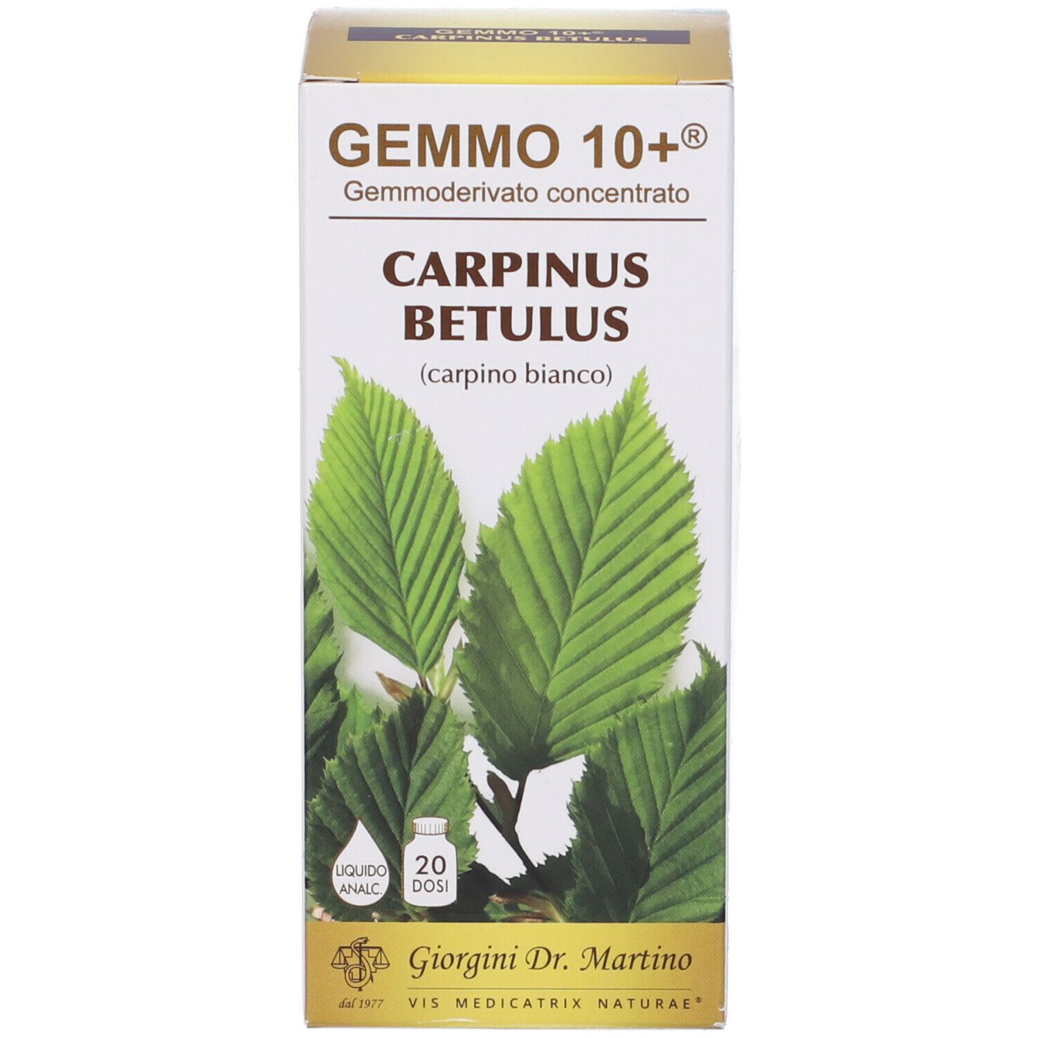 Gemmo 10+ Carpino Bianco 100 Ml Liquido Analcolico
