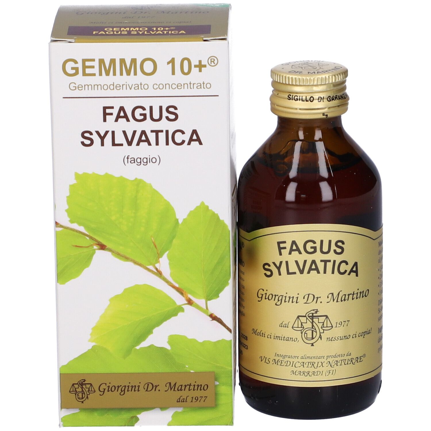 Gemmo 10+ Faggio 100 Ml Liquido Analcolico