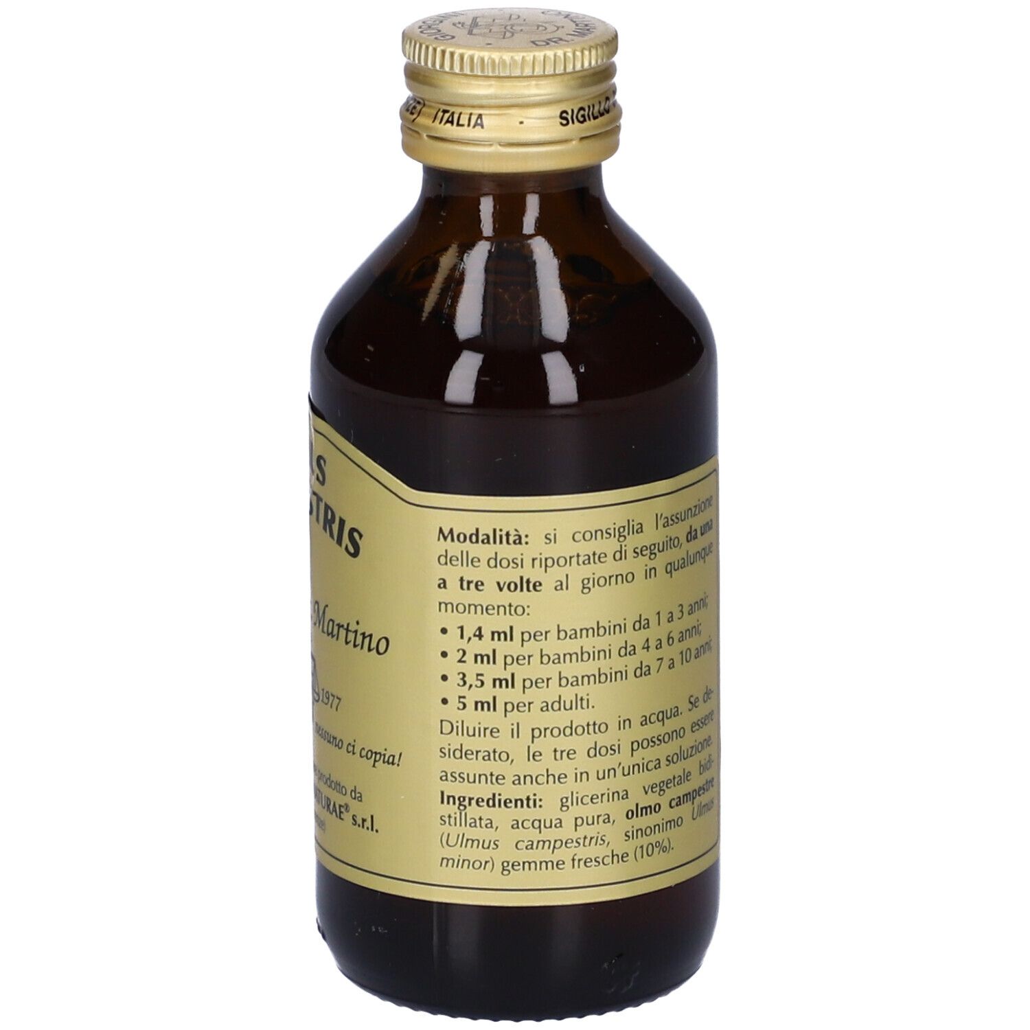 Gemmo 10+ Olmo Campestre 100 Ml Liquido Analcolico