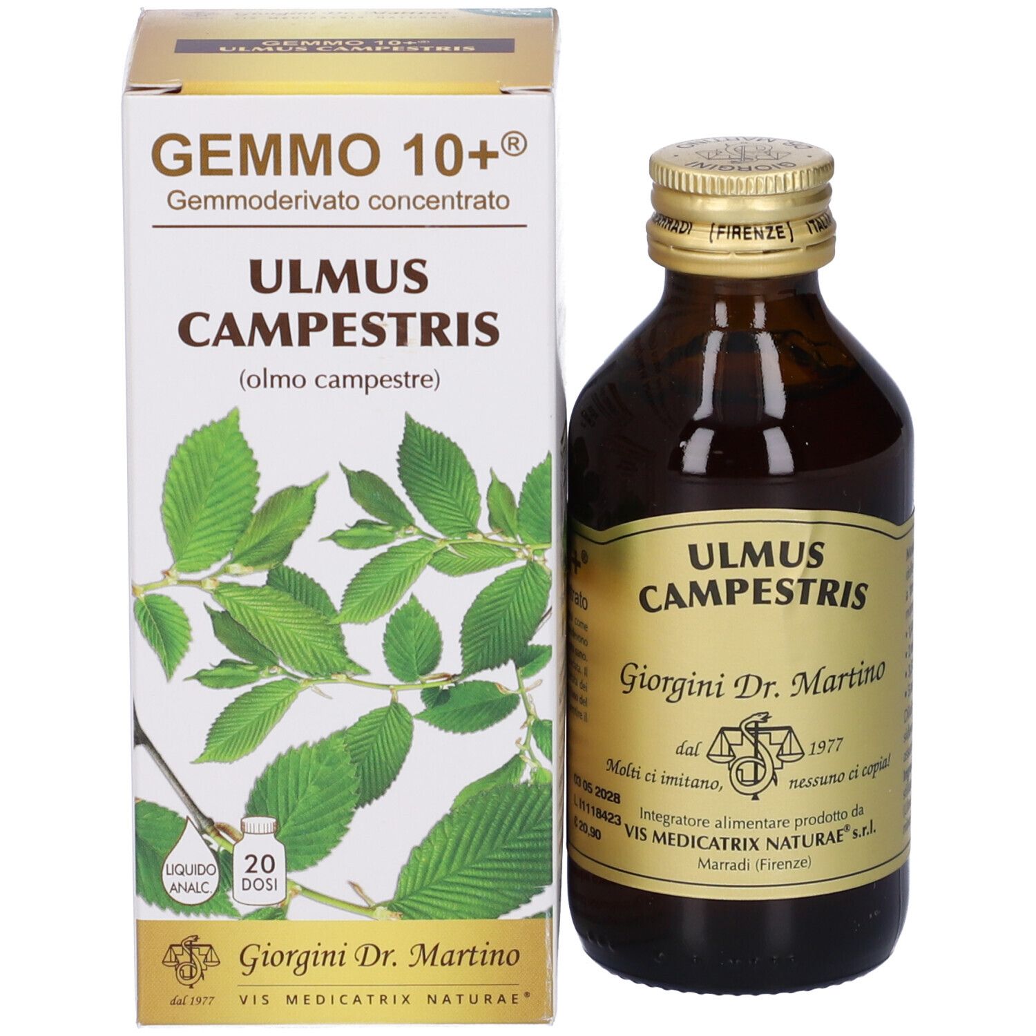 Gemmo 10+ Olmo Campestre 100 Ml Liquido Analcolico