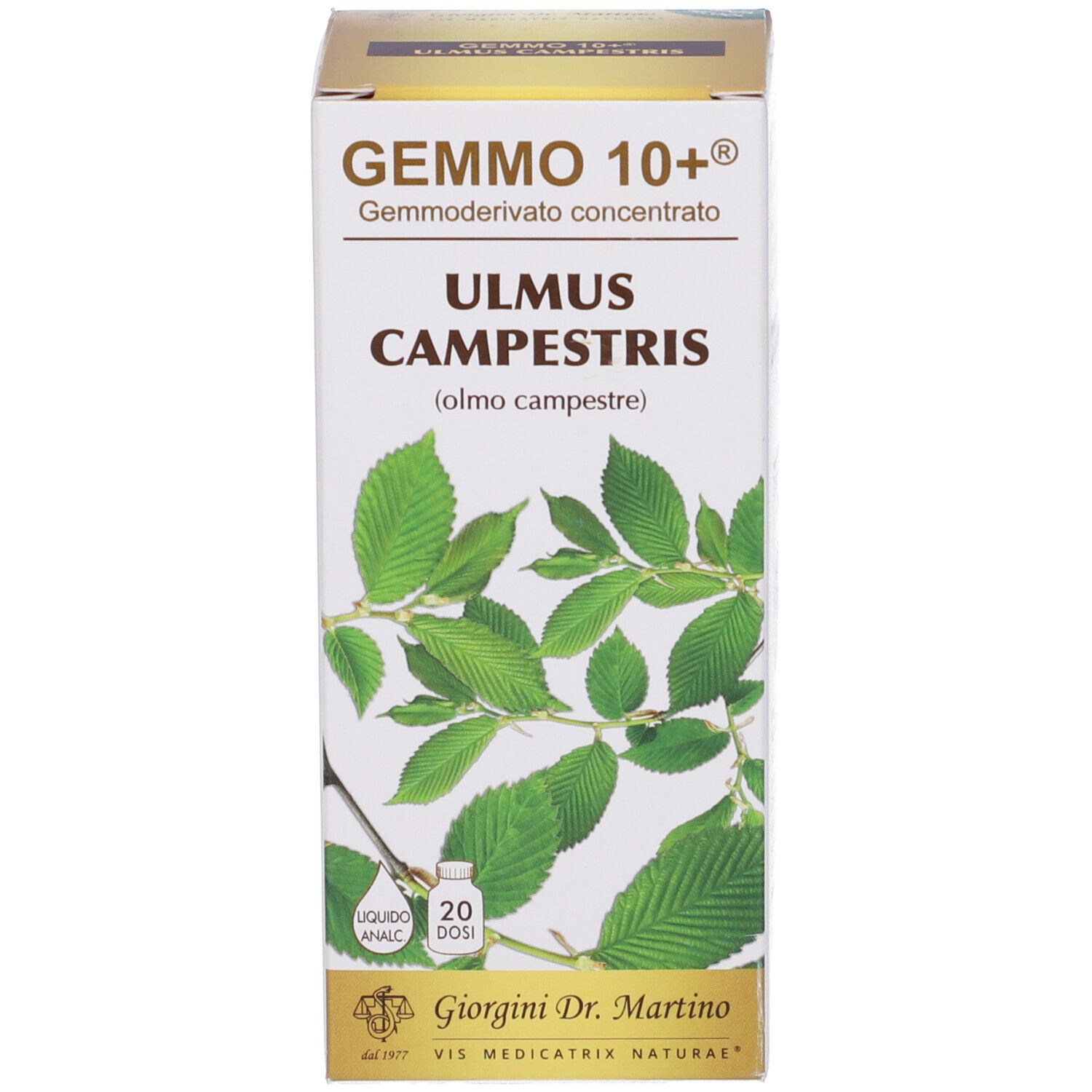 Gemmo 10+ Olmo Campestre 100 Ml Liquido Analcolico