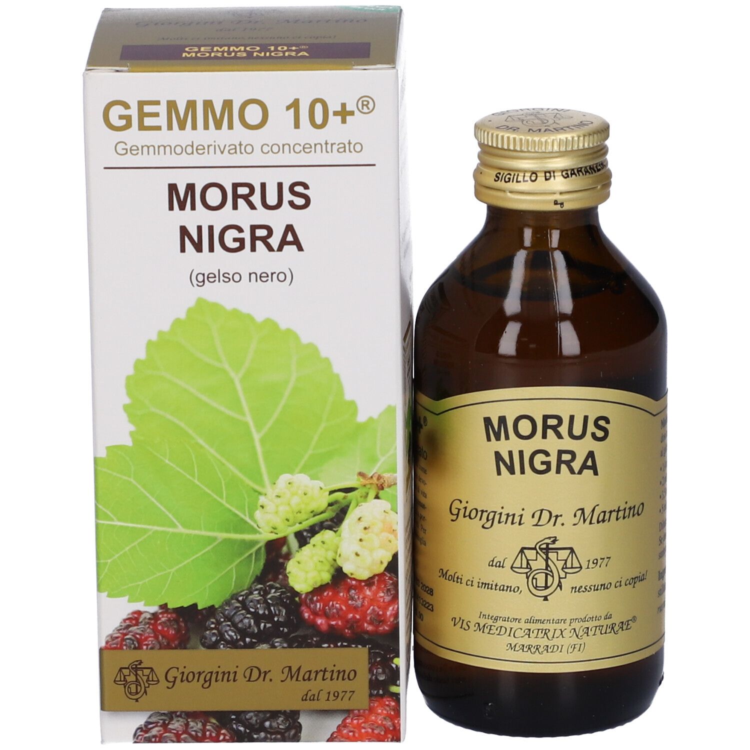 Flacone e confezione del prodotto. Confezione con testo: GEMMO 10+, MORUS NIGRA, illustrazione di foglie e frutti.
