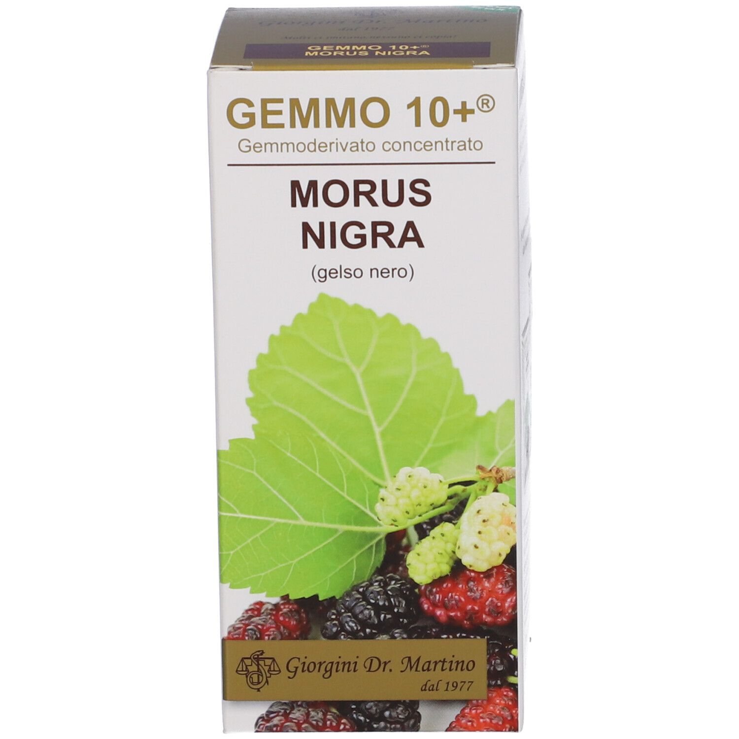 Confezione del prodotto con testo: GEMMO 10+, MORUS NIGRA, illustrazione di foglie e frutti.