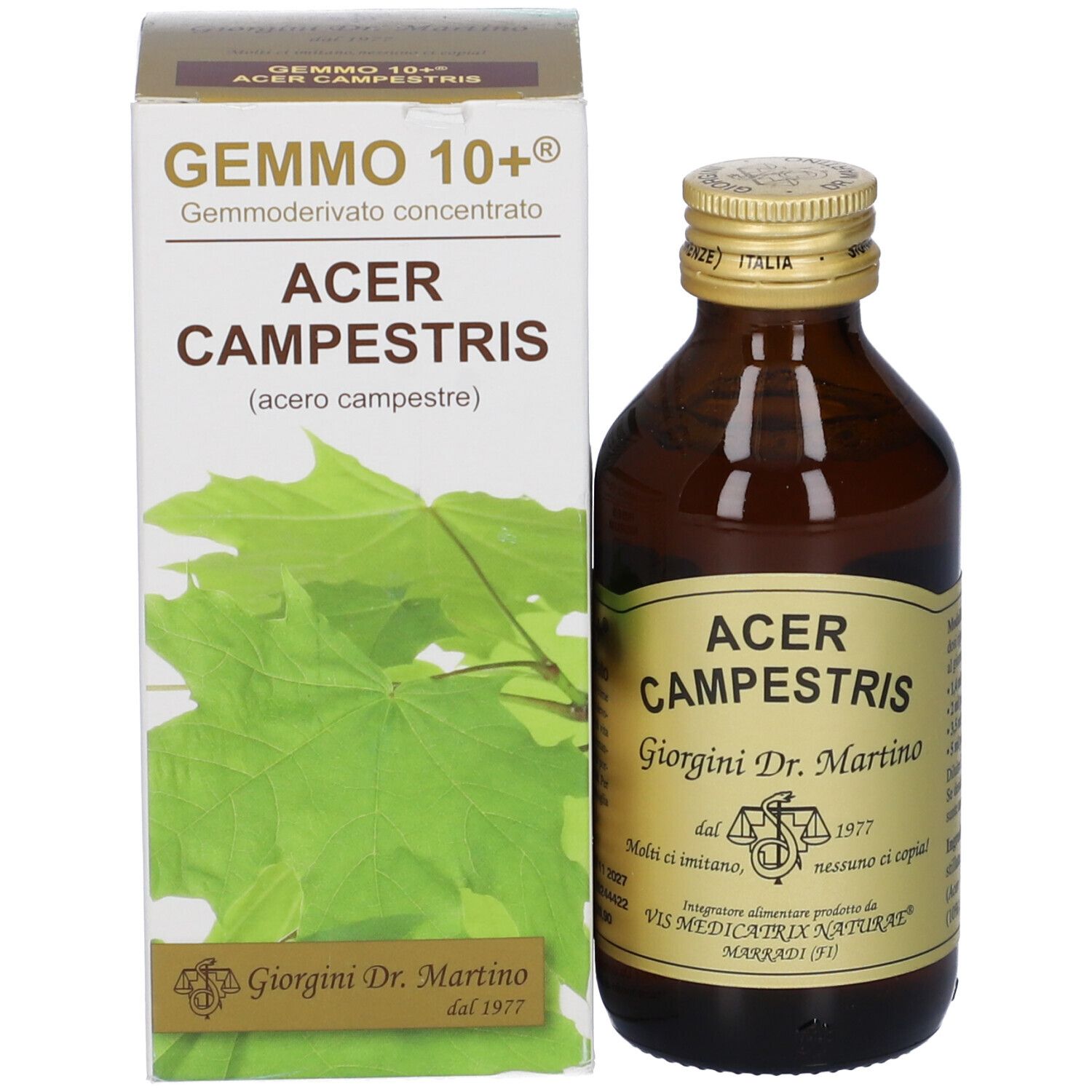 Bottiglia di vetro marrone e scatola. Scritta: Gemmo 10+ Acer Campestris, Giorgini Dr. Martino. Scatola verde e bianca con foglie.