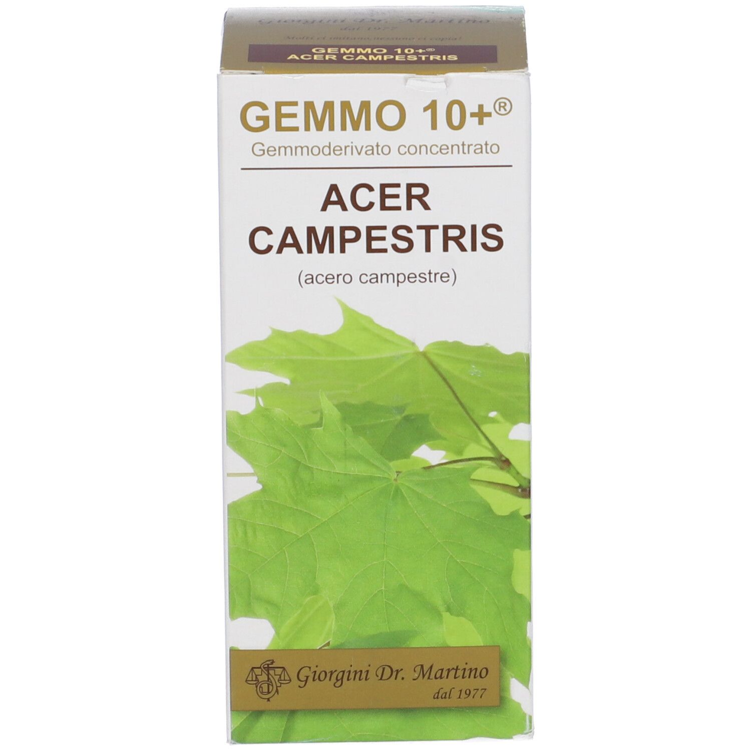 Scatola bianca con scritta: Gemmo 10+ Acer Campestris. Illustrazione di foglie. Logo Giorgini Dr. Martino.