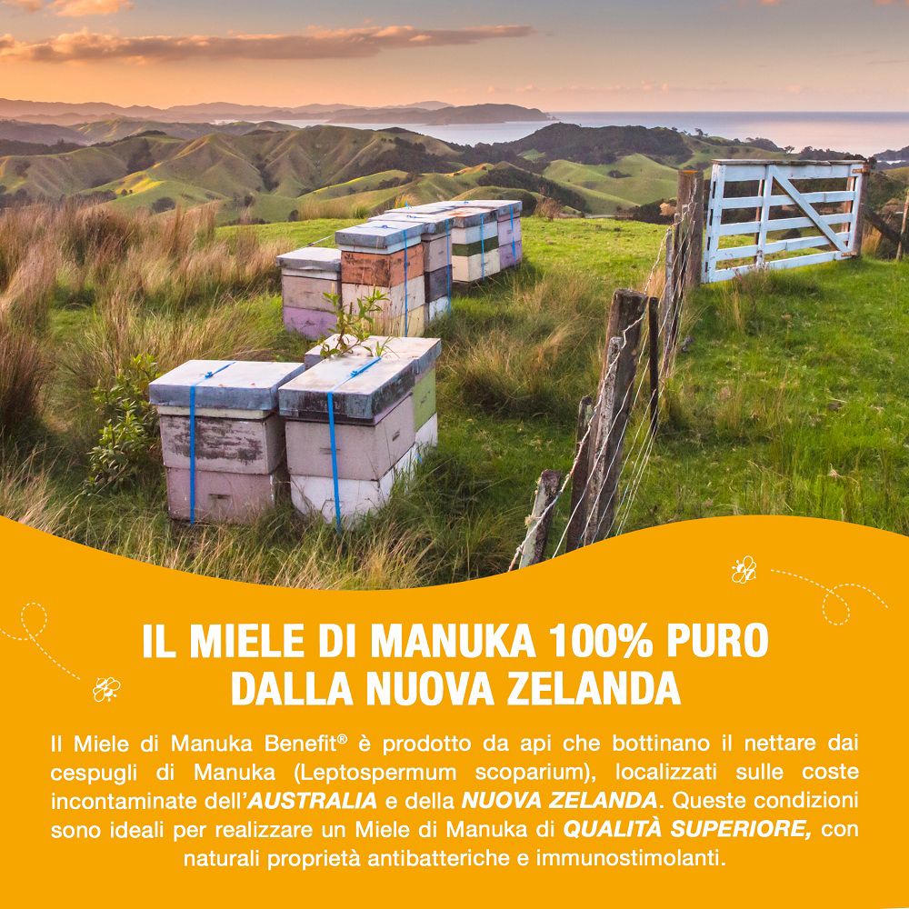 Apiari di Manuka in un ambiente rurale.