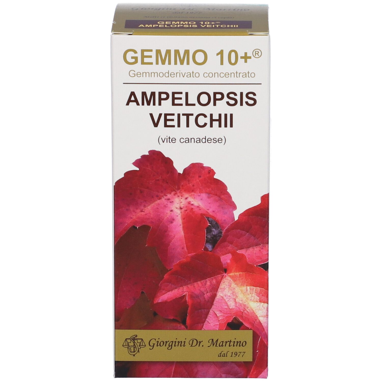 Scatola con informazioni sul prodotto e motivo a foglie rosse. Scritta: GEMMO 10+.
