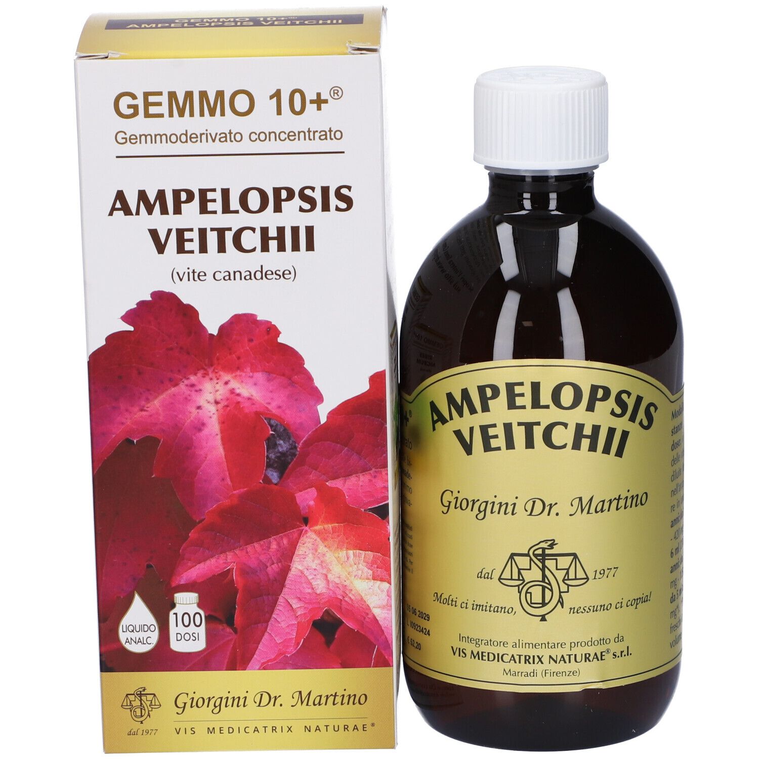 Gemmo 10+ Gemmoderivato Concentrato Liquido Analcolico Ampelopsis Veitchi Vite Canadese 500 Ml