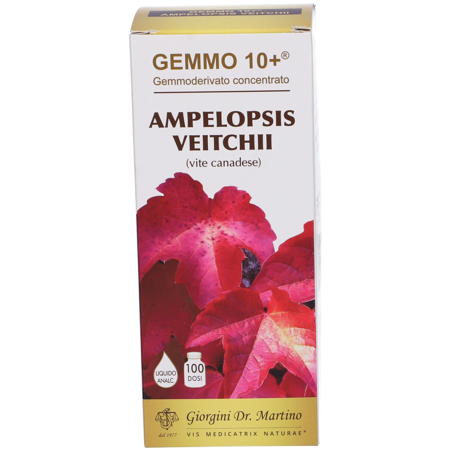 Gemmo 10+ Gemmoderivato Concentrato Liquido Analcolico Ampelopsis Veitchi Vite Canadese 500 Ml