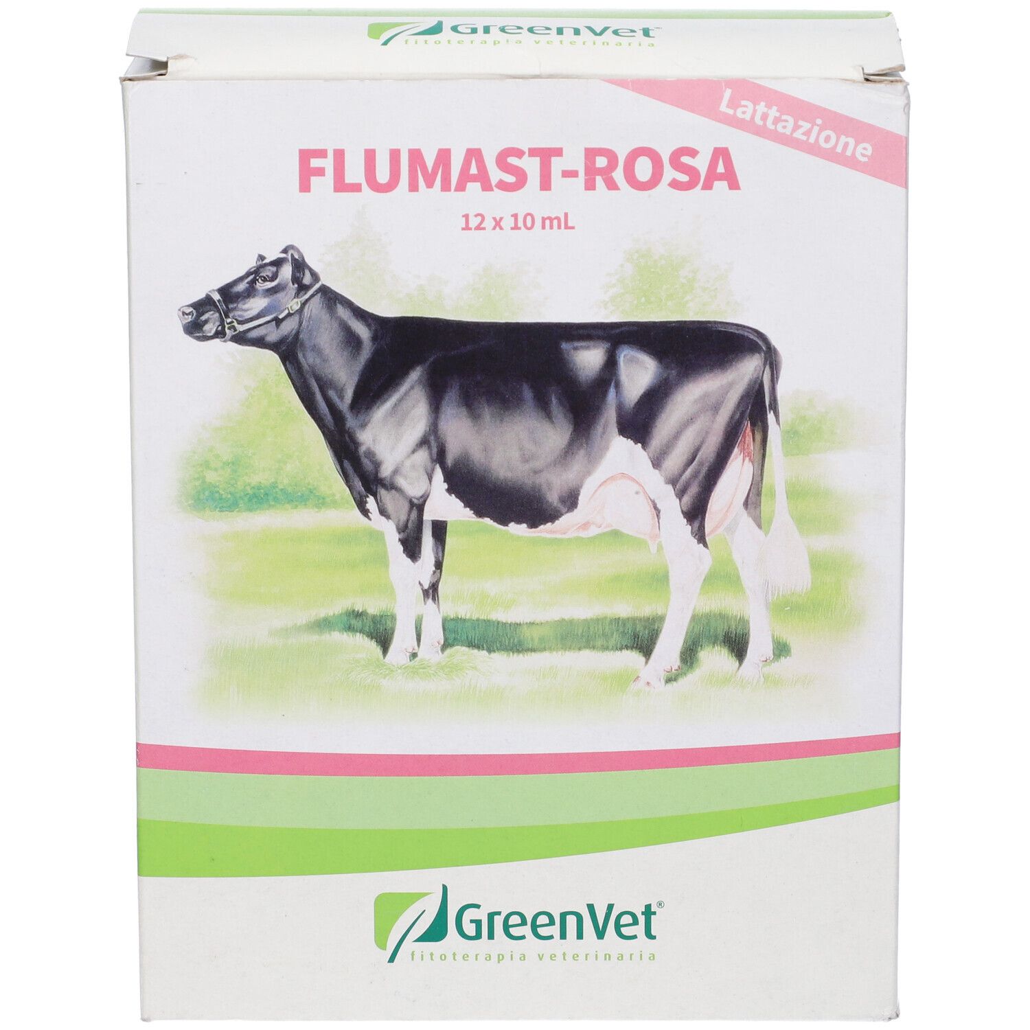Greenvet Flumast Rosa Derm 12 Siringhe Da 10 Ml