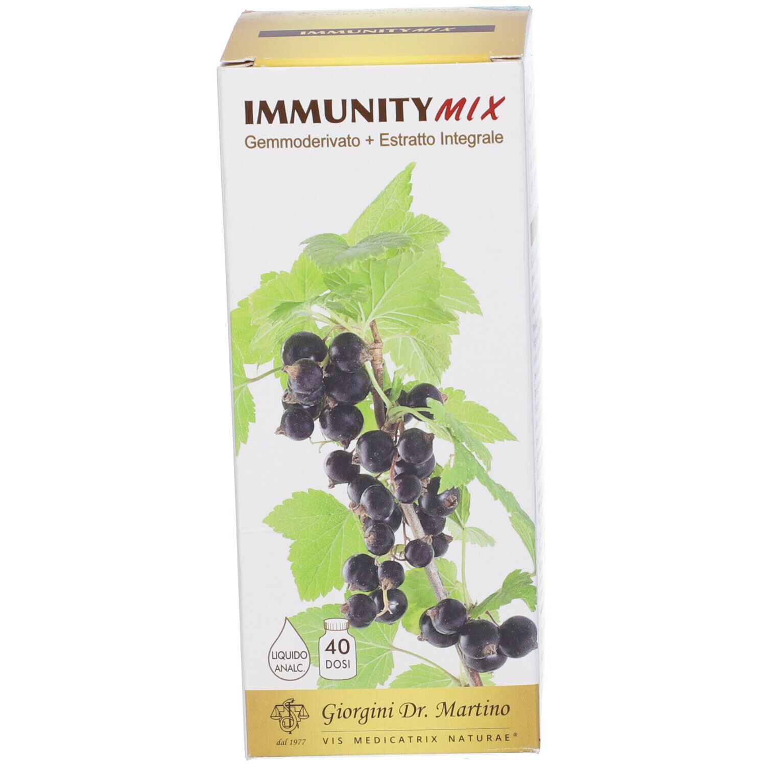 Scatola con illustrazione di ribes nero e nome del prodotto.